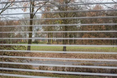 View through window blinds, green park in the winter Stock Photos