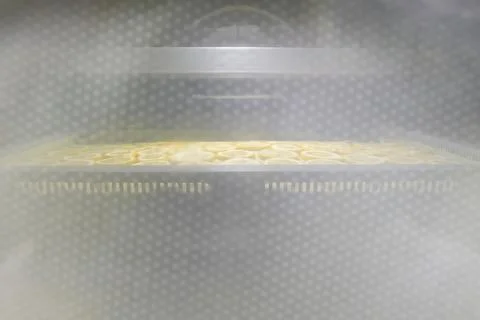 View through the window of the, drying cabinet, how lemons and oranges cut .. Fotos Stock