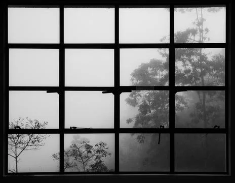 View through window pane with trees in fog and mist as background. Foto stock