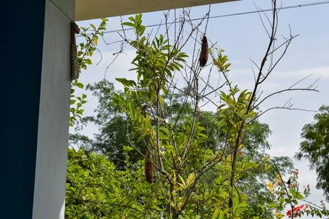 View through window Stock Photos