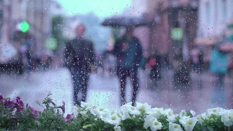 View through the window with on rainy day. Blurred silhouettes of people Stock Footage 79018315