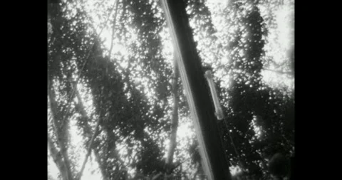 View through the window of a room to trees and sky, camera shaking creepily Stock-Footage 314265581