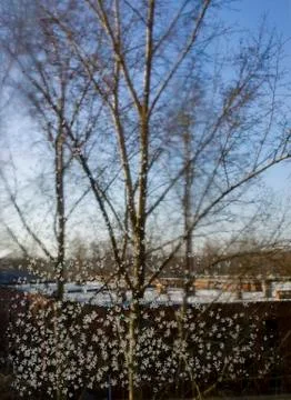 View through the window to the street from a comfortable apartment. Stock Photos