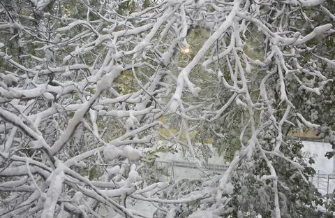 View through the window of a strong snowstorm Stock Photos