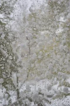 View through the window of a strong snowstorm 写真素材