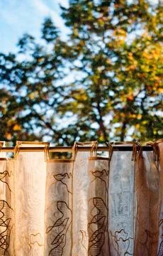 View through a window with sun flooded curtain Stock Photos