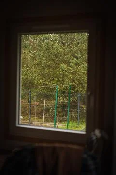 View Through a Window of a Tree with Yellowish Leaves and Metal Fence Stock Photos
