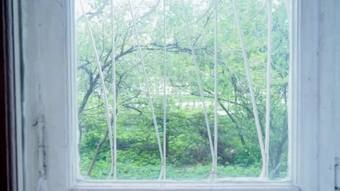View through a window with white iron bars. Tree branches sway in the wind Stock Footage 130634273