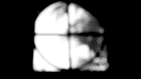 View through the windows of leaves blowing in the soft breeze outdoor.  Stock Footage 146823163