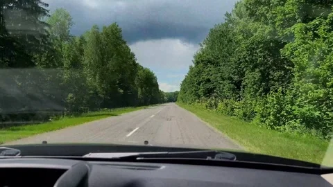 View through the windshield of a car driving on a forest road in summer. Tr.. Stock Footage 338397718