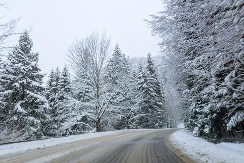 View through the windshield of a car on a slippery road. Snow-covered trees a Foto stock
