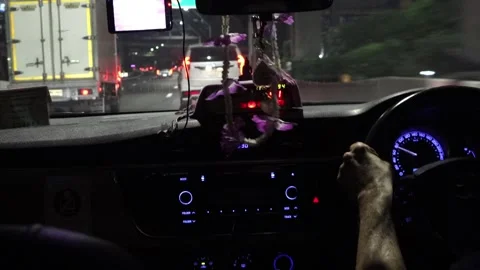 View through the windshield of a taxi driving on a night highway Stock Footage 303343698