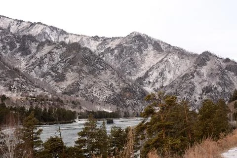 View through young pine trees to a beautiful frozen river flowing at the fo.. Stock Photos