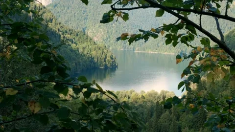 View throw natural green trees foliage to canyon with amazing lake Stock Footage 145842334