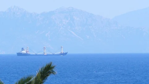 View thru palm trees Ship sailing close to Turkey coast view from the Greece Stock Footage 112151350