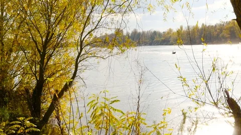 View thru the trees to the boat on the river Stock Footage 71255095