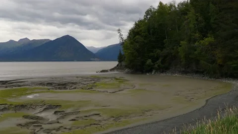 View of tidal flats at Turnagain Arm near the village of Hope, Alaska. Stock Footage 153162019