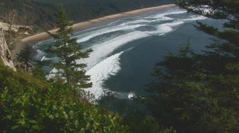 View of timbered coastline Stock Footage 60407615