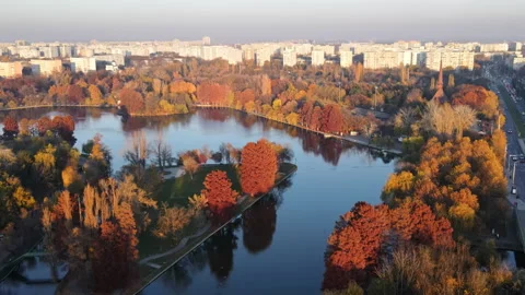 View of the Titan park from the drone with multiple yellowed and red trees, Video stock 148736620