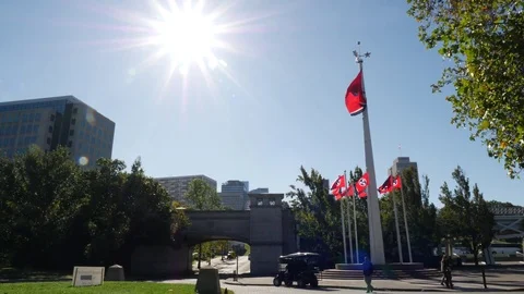 View of TN State flags in Bicentennial capitol mall state park Vídeos de archivo 83023441