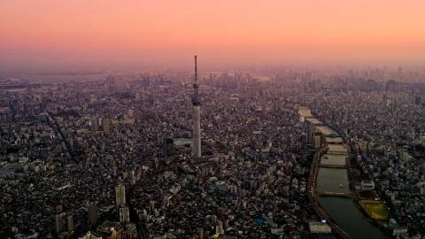 A view of Tokyo from a height in the evening Foto stock