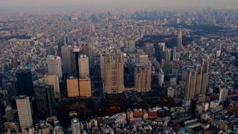 A view of Tokyo from a height in the evening Stock Photos