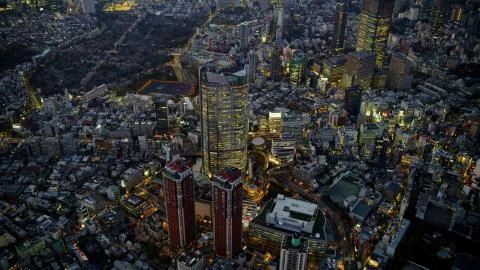 A view of Tokyo from a height in the evening Stock Photos