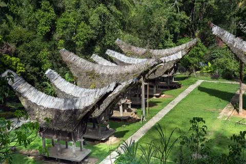 View of Tongkonan traditional houses  in  Buntu Pune village Foto stock