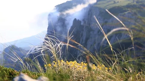 The view from the top of AI-Petri mountain, Crimea Video stock 80048088