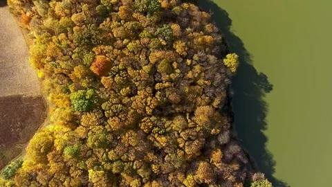 View from the top to the autumn forest and the river Stock Footage 87473736