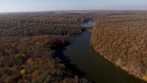 View from the top to the autumn forest and the river Stock Footage 87475633