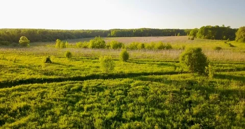 The view from the top of the big beautiful river Stock Footage 101285193