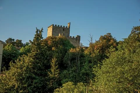 View from the top of a castle through a forest in the Tuscan countryside Stock Photos