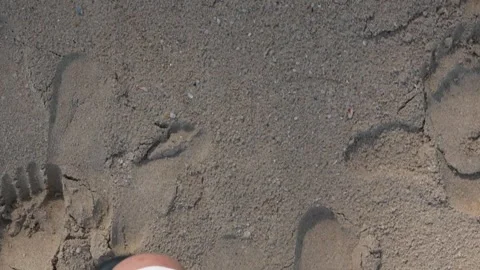 View top down to footed feet while walking on sandy white ocean beach in luxury  Stock Footage 289814671