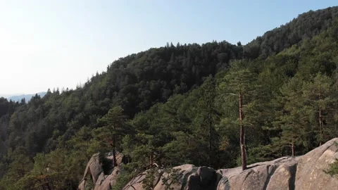 View from the top, the drone flight over the mountains and wild green forest. Stock Footage 196711846