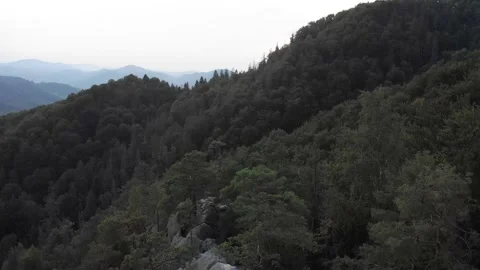 View from the top, the drone flight over the mountains and wild green forest. Stock Footage 196712084