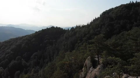 View from the top, the drone flight over the mountains and wild green forest. Stock Footage 196712135
