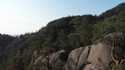 View from the top, the drone flight over the mountains and wild green forest. Stock Footage 196712218