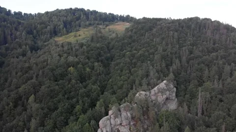 View from the top, the drone flight over the mountains and wild green forest. Stock Footage 196712321