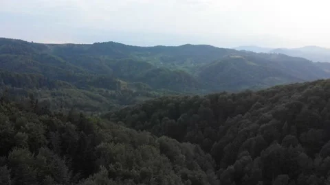 View from the top, the drone flight over the mountains and wild green forest. Stock Footage 196712393