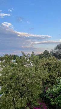 View from the top on the garden 库存照片