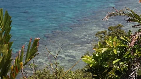 View from top of hill overlooking bright blue water Stock Footage 89588433