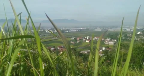 The view from the top of the housing complex is taken between the grass gaps Stock Footage 219781954