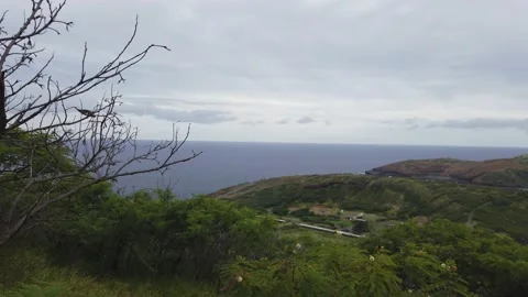 View From Top of Koko Head on Overcast Day Stock Footage 155363875