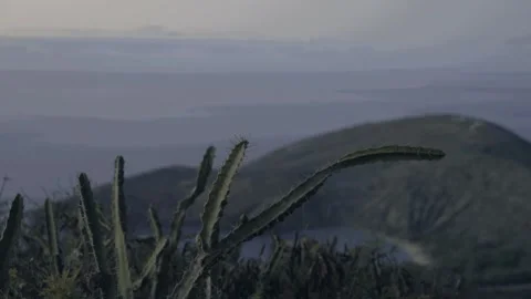 View from top of koko Head trail at sunrise cactus in forground Honolulu Hawaii Stock Footage 312763598