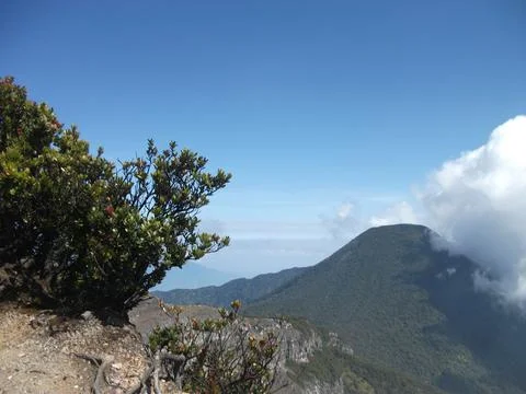 The view from the top of Mount Gede Stock Photos