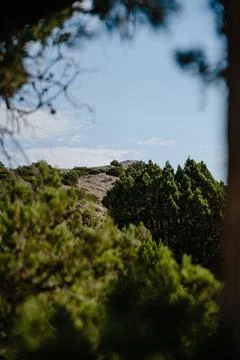 View of the top of the mountain from behind a tree, blue sky Stock Photos