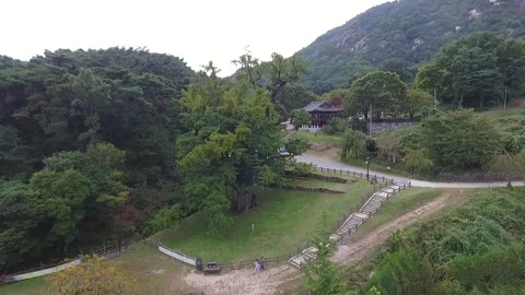 View from the top of mountain Video stock 310161290