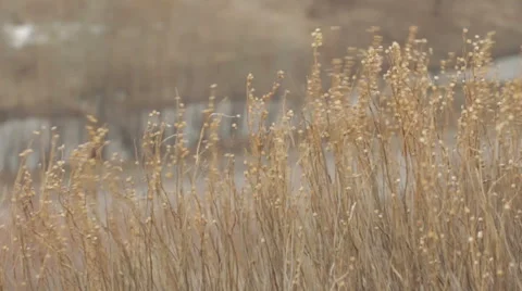 View from the top of the mountain on the highway Stock Footage 62102280