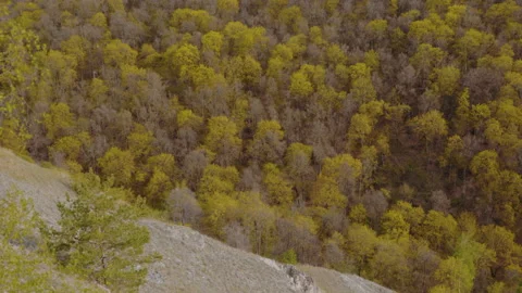 View from the top of the mountain to a large forest. Stock Footage 171381087